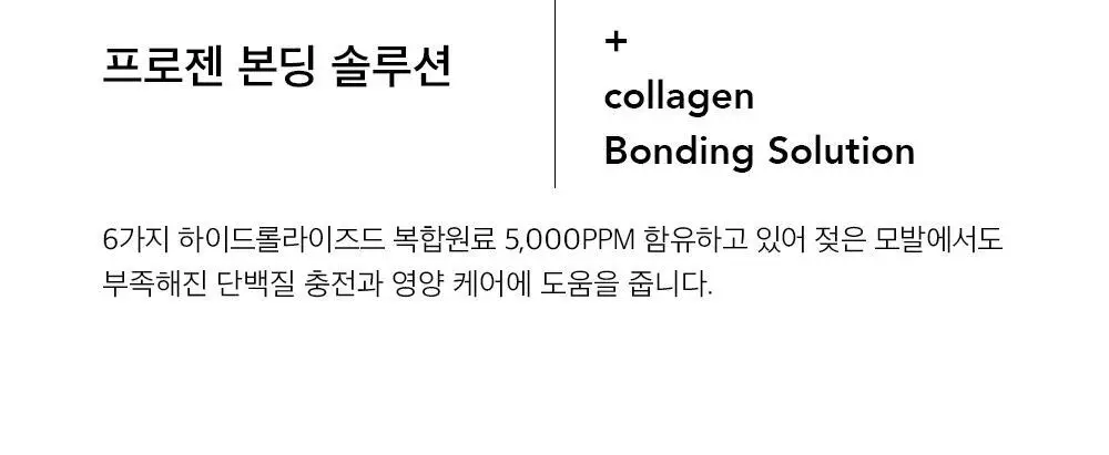 [손상 집중 케어 / 단독기획] 차홍 인텐시브 헤어 트리트먼트 200ml 기획 (+트리트먼트 50ml 증정) 상세페이지 12